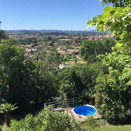 Chambre D'Hote Vue Imprenable Sur Cite - Villa Rose Καρκασόν Εξωτερικό φωτογραφία